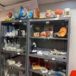 آزمایشگاه