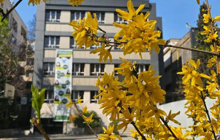 نمای بیرونی ساختمان