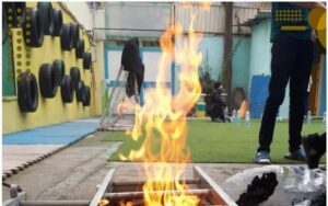 حیاط