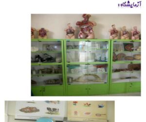 دبیرستان دبستان (ابتدایی) پسرانه عادی دولتی شیخ محمدخیابانی