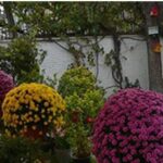 دبیرستان متوسطه دوره دوم دخترانه غیر دولتی علوم نو
