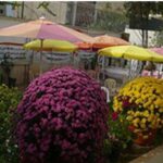 دبیرستان متوسطه دوره دوم دخترانه غیر دولتی علوم نو
