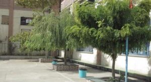 حیاط