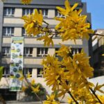 دبیرستان متوسطه دوره دوم دخترانه غیر دولتی سما 1