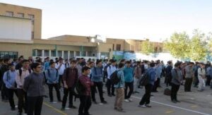حیاط