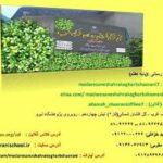 دبیرستان متوسطه دوره اول پسرانه غیر دولتی مدرسان شهرک غرب(علامه شعرانی)