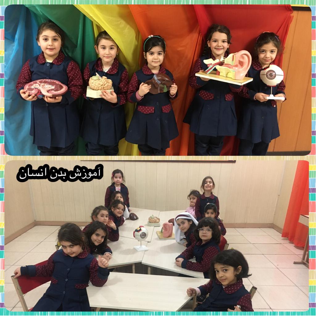 ابوعلی سینا2