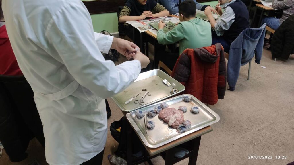 دانش‌آموزان دبیرستان یاوران امین در حال کار عملی در آزمایشگاه زیست‌شناسی، منطقه ۱۱ تهران