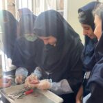 دانش‌آموزان در حال انجام آزمایش یا پروژه علمی عملی با ابزارها و مواد در محیط آزمایشگاهی