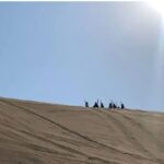 گروهی از دانش‌آموزان در حین انجام فعالیت میدانی روی یک تپه شنی زیر آسمان آبی روشن