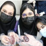 دانش‌آموزان در حال انجام یک آزمایش عملی با دستکش‌های پلاستیکی در آزمایشگاه مدرسه