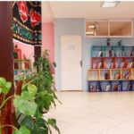 کتابخانه مدرسه‌ای با قفسه‌های چند رنگ، کتاب‌های متنوع و گیاهان تزیینی در فضای روشن و آرام