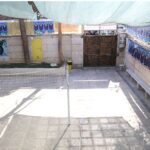 تصویر راهروی درون‌ساختمانی با دیوارهای بتنی تزئین‌شده با پوسترهای رنگی آبی و عناصر دکوراتیو