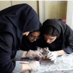 دو دانش‌آموز دختر با دستکش‌های جراحی در حال انجام فعالیت علمی عملی با حیوانات آزمایشی در آزمایشگاه