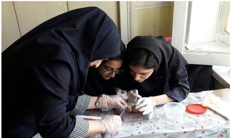 فعالیت علمی