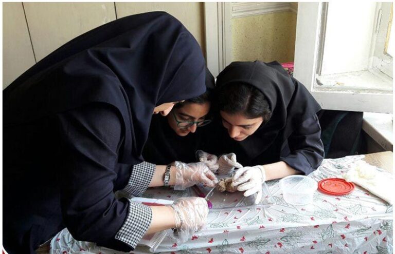 فعالیت علمی