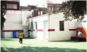 حیاط