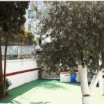 حیاط داخلی مدرسه با درختان سرسبز، دیوارهای رنگی (نوار قرمز و سبز)، صندلی‌های آبی و فضای باز برای تجمع و بازی دانش‌آموزان