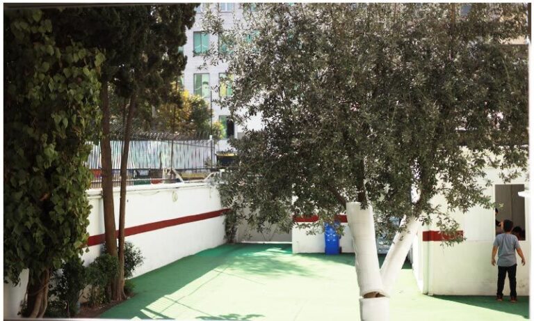 حیاط