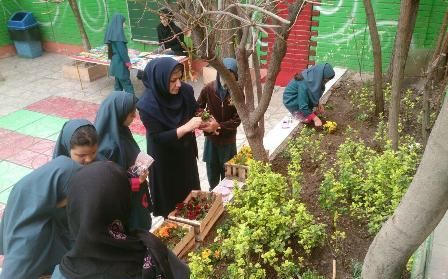 دانش‌آموزان در حیاط مدرسه در حال آبیاری و پرورش گیاهان و گل‌های باغ درسی
