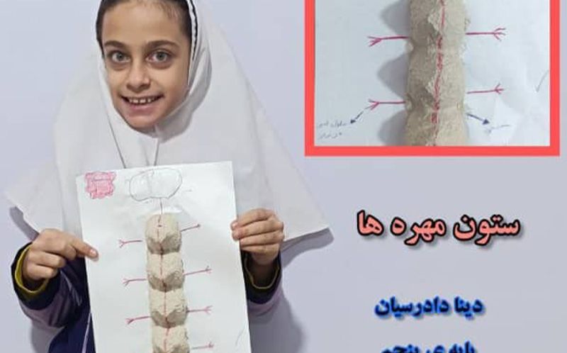 دانش‌آموز در حال ارائه‌ی مدل سیستم زیستی در پروژه‌ی علمی STEM