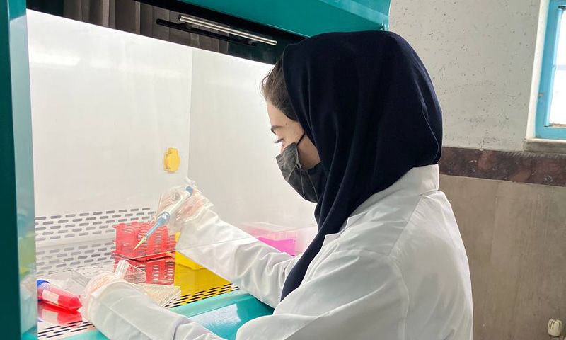 دانش‌آموز در حال انجام آزمایش هندسی با استفاده از اشکال رنگی