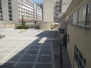 حیاط