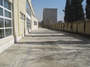 حیاط
