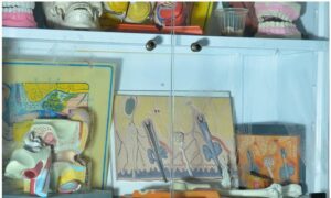 مدل‌های آناتومی و تجهیزات آموزشی