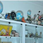 کابینت دیوار‌ی با درب‌های شیشه‌ای شامل کره‌های جغرافیایی، مدل‌های علمی، تجهیزات آموزشی و نمونه‌های آنатومیکی برای آموزش دانش‌آموزان