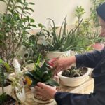 دانش‌آموزی در حال نگهداری و آبیاری گیاهان در حین یک فعالیت آموزشی