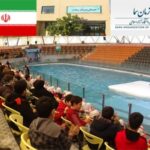 استادیوم استخر پر از تماشاگر در حال برگزاری مسابقه شنا با شرکت‌کنندگان در استخر و تماشاگران در سکوهای زرد و قرمز