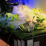 نمایی از تراریوم و باغچه‌ی کوچک آبی شامل گیاهان سبز و زنده‌ای با سیستم نورپردازی آبی و زرد، یک دستگاه آموزشی برای یادگیری درباره اکوسیستم‌های مختوم