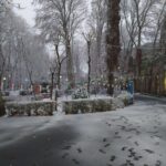 حیاط درختکاری‌شده‌ی هنرستان امام صادق در محله هرندی تهران، روز برفی