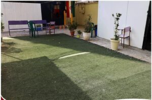 حیاط