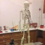 نمایی از آزمایشگاه مدرسه با اسکلت انسان آموزشی، نمونه‌های علمی و تجهیزات مختلف روی میز کاری چوبی و کابینت‌های ذخیره‌سازی