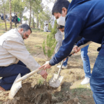 دانش‌آموزان و معلمین در حال کاشت نهال درخت سبز در حیاط مدرسه به‌عنوان فعالیت محیط‌زیستی و آموزشی