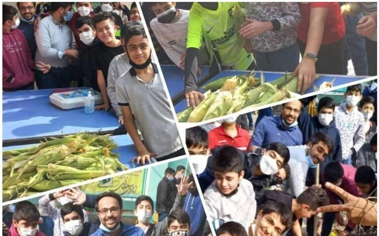 نمایش محصولات کشاورزی