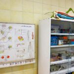 نمایی از آزمایشگاه علوم مدرسه با تجهیزات آزمایشی، کابینت ذخیره‌سازی، و نمودارهای آموزشی تشریحی روی دیوار کاشی‌کاری شده